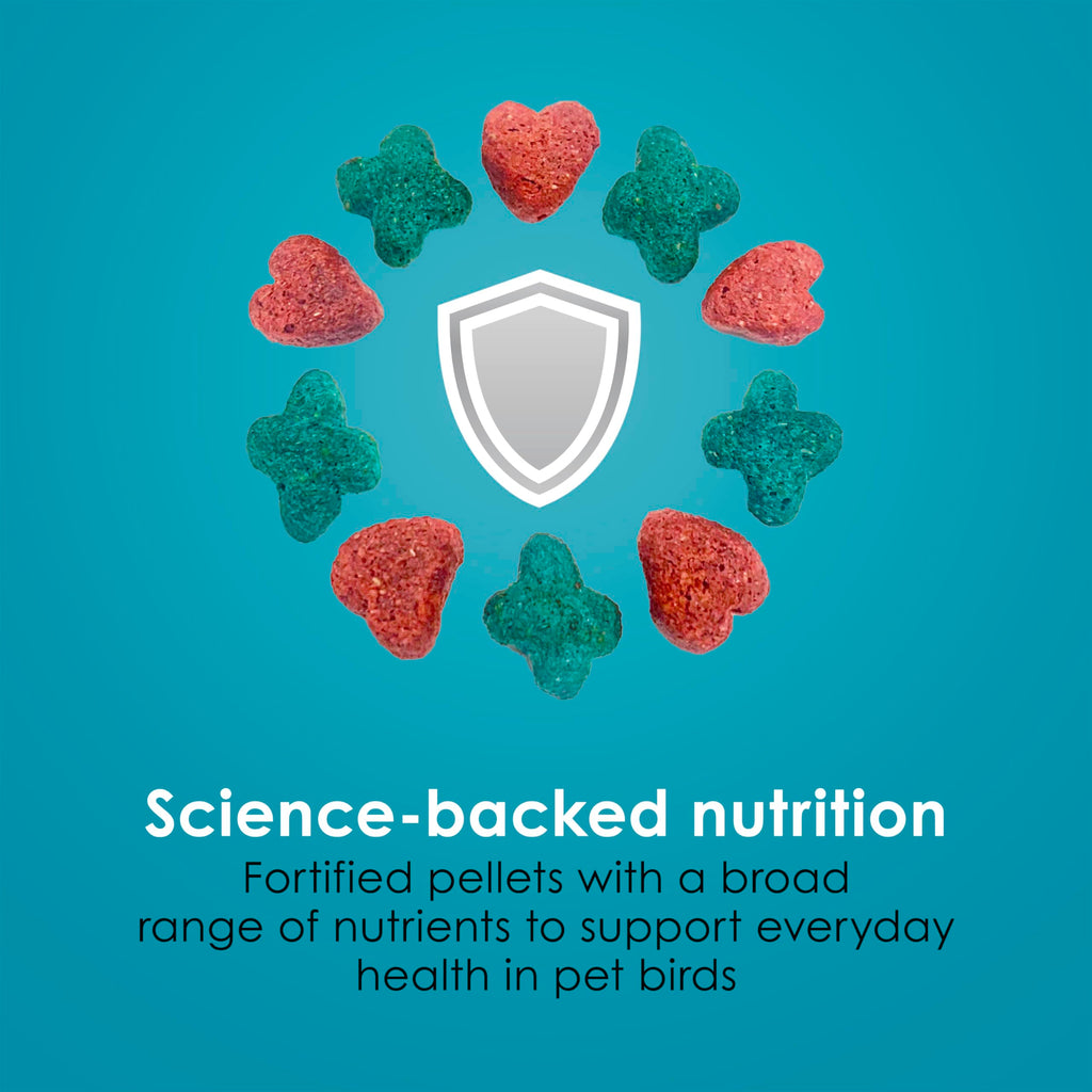 Kaytee Forti-Diet Pro Health Nourish+Protect Cockatiel Food, 5 lb | Digestive support daily. Parrot food for cockatiels. Prebiotics, probiotics, bird feed
