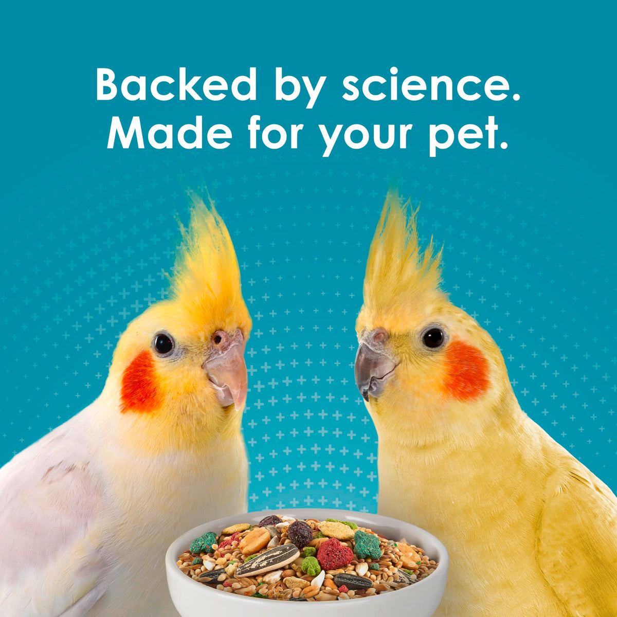 Kaytee Forti-Diet Pro Health Nourish+Protect Cockatiel Food, 5 lb | Digestive support daily. Parrot food for cockatiels. Prebiotics, probiotics, bird feed