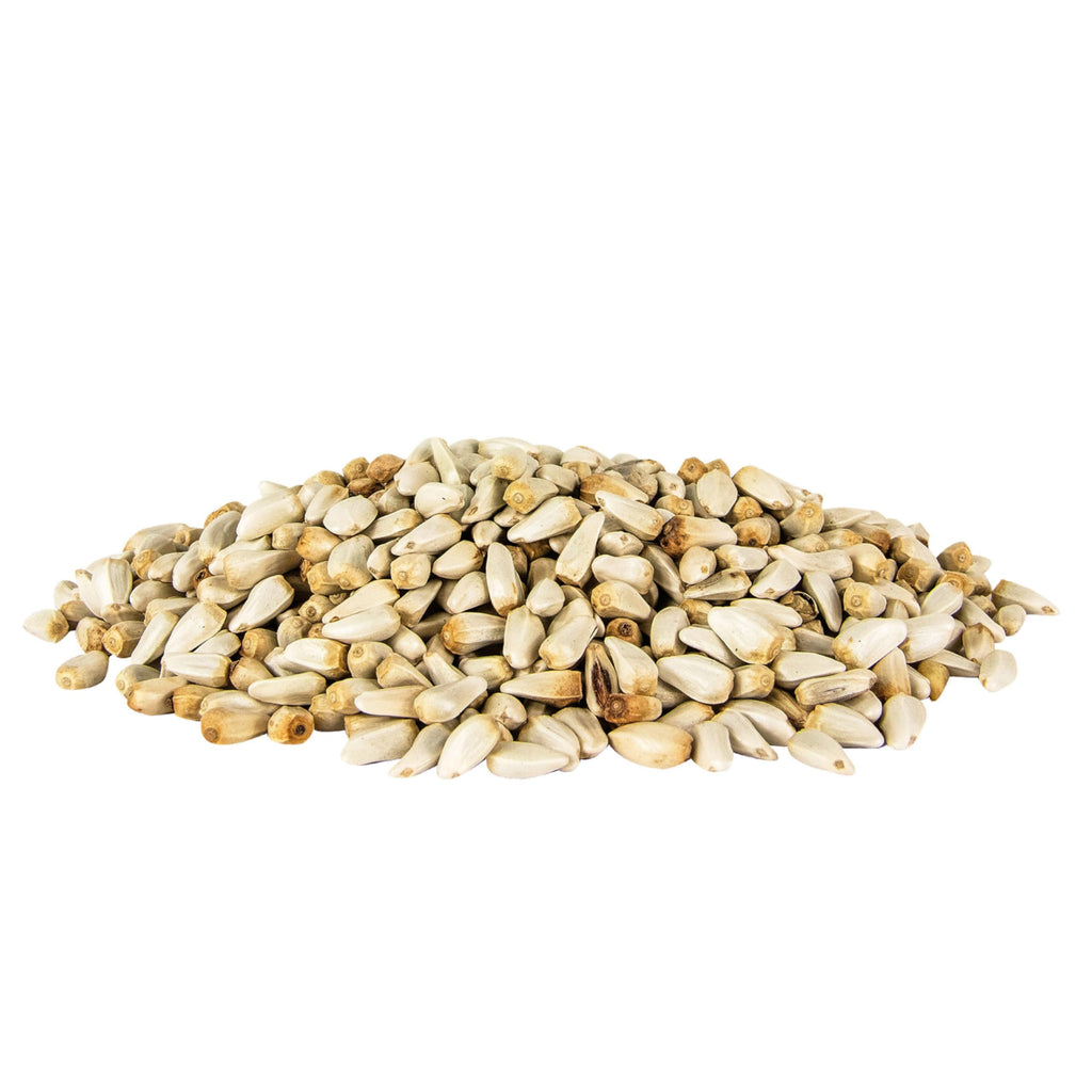 Pennington Select Safflower Seed 15 lb Bag | Bird Seeds for Outside Wild Birds, Enriched with Vitamins and Nutrients, Works in Hopper, Gazebo and Tube Feeders
