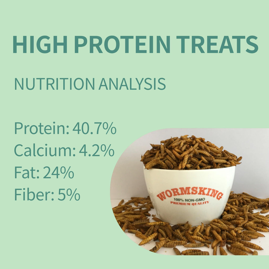 WORMSKING 5LB Dried Black Soldier Fly Larvae for Chickens | More Calcium Than Dried Mealworms, High Protein Poultry Treats, Duck Food, BSFL