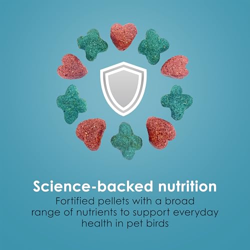 Kaytee Forti-Diet Pro Health Nourish+Protect Conure & Lovebird Food, 4 lb | Balanced digestion. Conure food with prebiotics and probiotics. Parrot food, antioxidants, omega-3s