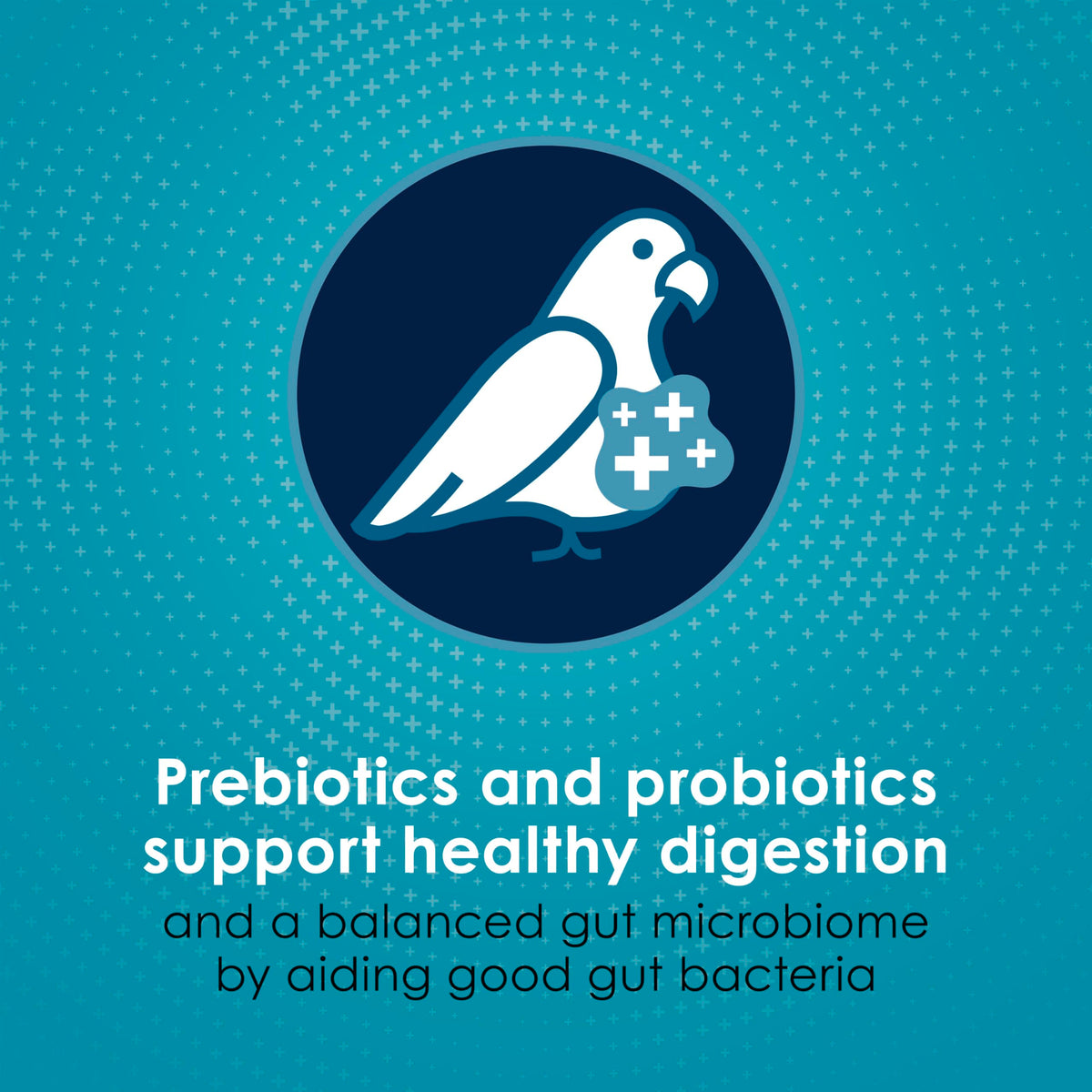 Kaytee Forti-Diet Pro Health Nourish+Protect Cockatiel Food, 5 lb | Digestive support daily. Parrot food for cockatiels. Prebiotics, probiotics, bird feed