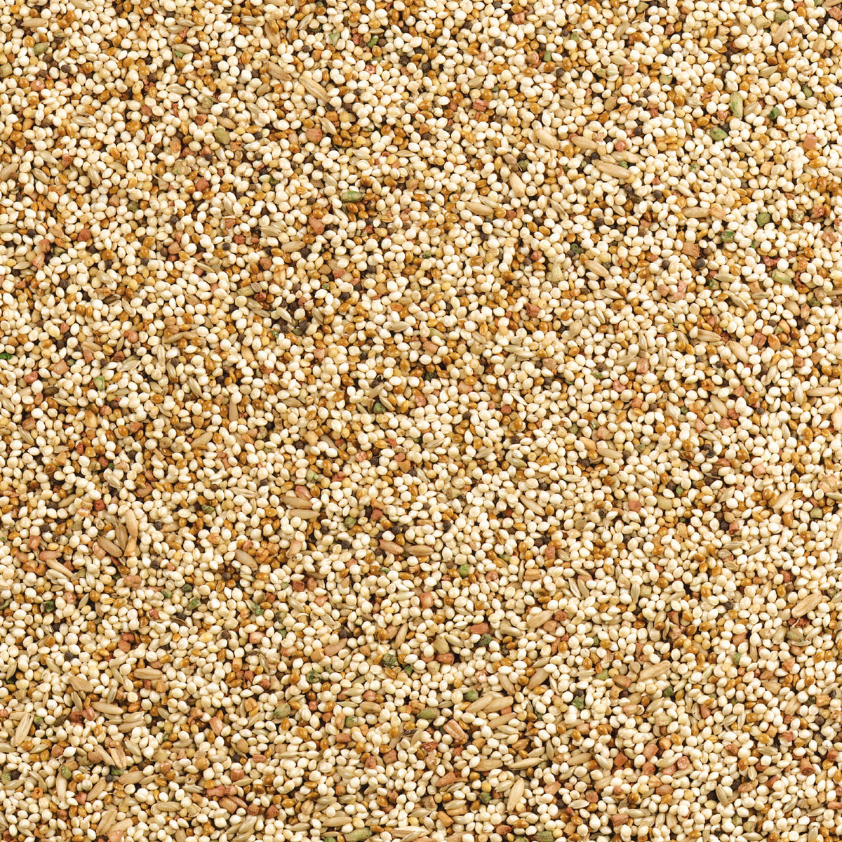 Wild Harvest Daily Blend Bird Food For Parakeet, Canary & Finch,10 lbs | Quality Seed Blend For Small Birds, With Orange Essence For Extra Flavor, Re-Sealable Bag For Freshness