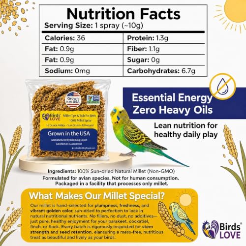 Birds LOVE® Millet Tips & Tails for Birds – Premium Spray Millet Treat, Non-GMO, USA Grown – Natural Bird Food for Parakeets, Cockatiels, Budgies, Lovebirds, Finches, Canaries & Parrots – 1 lb