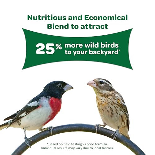 Kaytee Wild Bird Food Basic Seed Blend, 5 lb | Attract backyard birds. Wild bird seed mix with sunflower. Fortified, birdseed, year-round