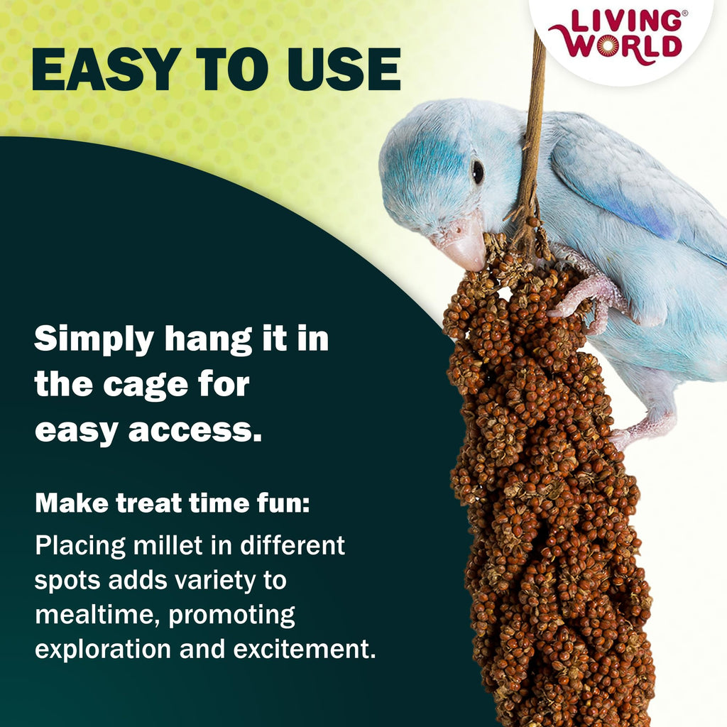 Living World Millet Spray for Birds - 3.5 oz Bag | 100% Natural, Wild-Harvested, Premium Treat - Spray Millet for Budgies, Canaries, Finches, Cockatiels & Other Pet Birds