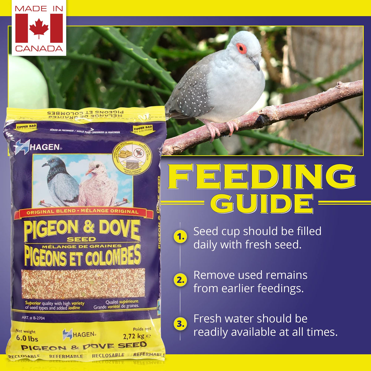 Hagen Pigeon & Dove Seed, Original Formula Bird Food, 6 lb Bag | Nutritionally Complete Seed Mix with Vitamins & Minerals, Wild & Captive Bird Diet, Insect-Resistant Air-Tight Packaging