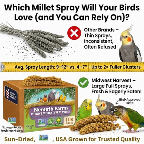 Nemeth Farms Spray Millet - Edible Tops Only, Non-GMO and Sun-Dried - 1 lb for Parakeets, Canaries and Finches