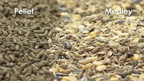 Kaytee Supreme Rabbit Food, Unflavored, 5 lb | Daily balanced nutrition. Bunny food with seeds, grains and pellets. Rabbit pellets, no artificial colors or flavors