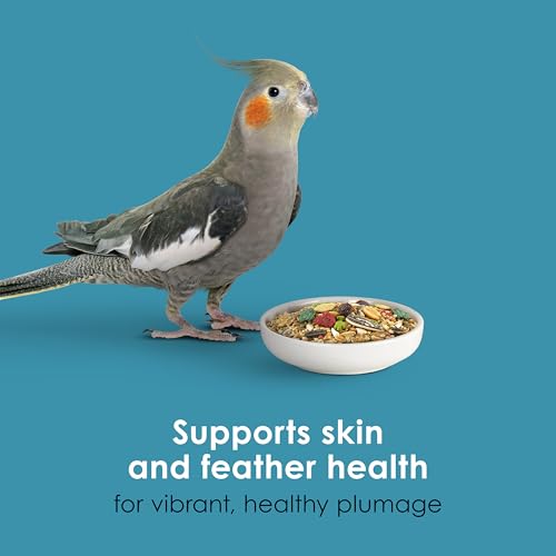 Kaytee Forti-Diet Pro Health Nourish+Protect Cockatiel Food, 5 lb | Digestive support daily. Parrot food for cockatiels. Prebiotics, probiotics, bird feed