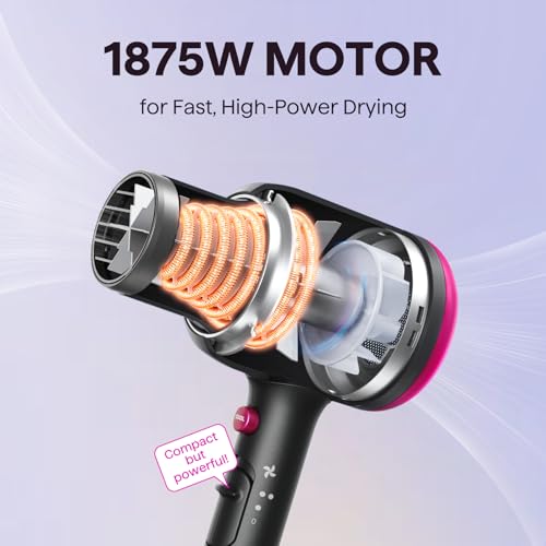 Wavytalk Blown Away Ionic Hair Dryer with Diffuser for Curly Hair
