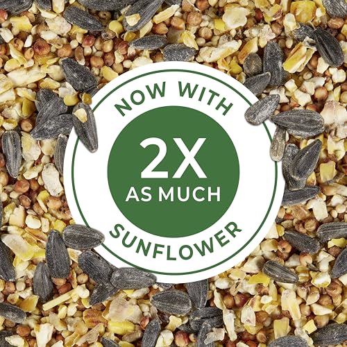 Kaytee Wild Bird Food Basic Seed Blend, 5 lb | Attract backyard birds. Wild bird seed mix with sunflower. Fortified, birdseed, year-round
