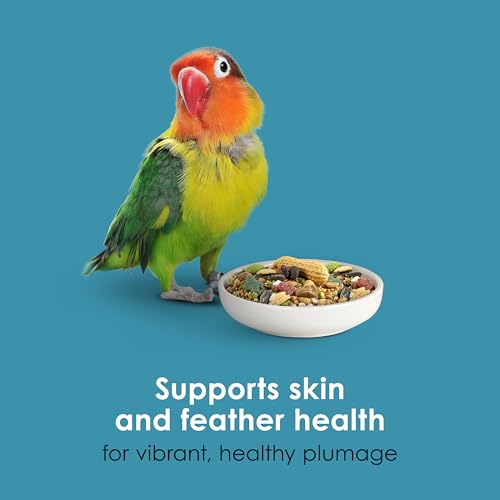 Kaytee Forti-Diet Pro Health Nourish+Protect Conure & Lovebird Food, 4 lb | Balanced digestion. Conure food with prebiotics and probiotics. Parrot food, antioxidants, omega-3s