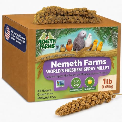 Nemeth Farms Spray Millet - Edible Tops Only, Non-GMO and Sun-Dried - 1 lb for Parakeets, Canaries and Finches