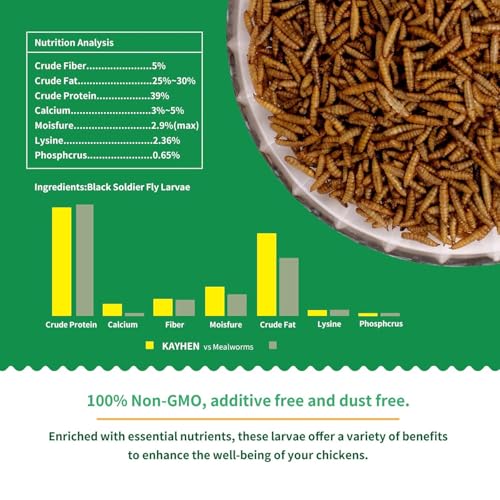 Dried Black Soldier Fly Larvae Treats for Chickens Wild Birds Ducks 10LB | More Calcium Than Mealworms High-Protein Non-GMO Pure Natural