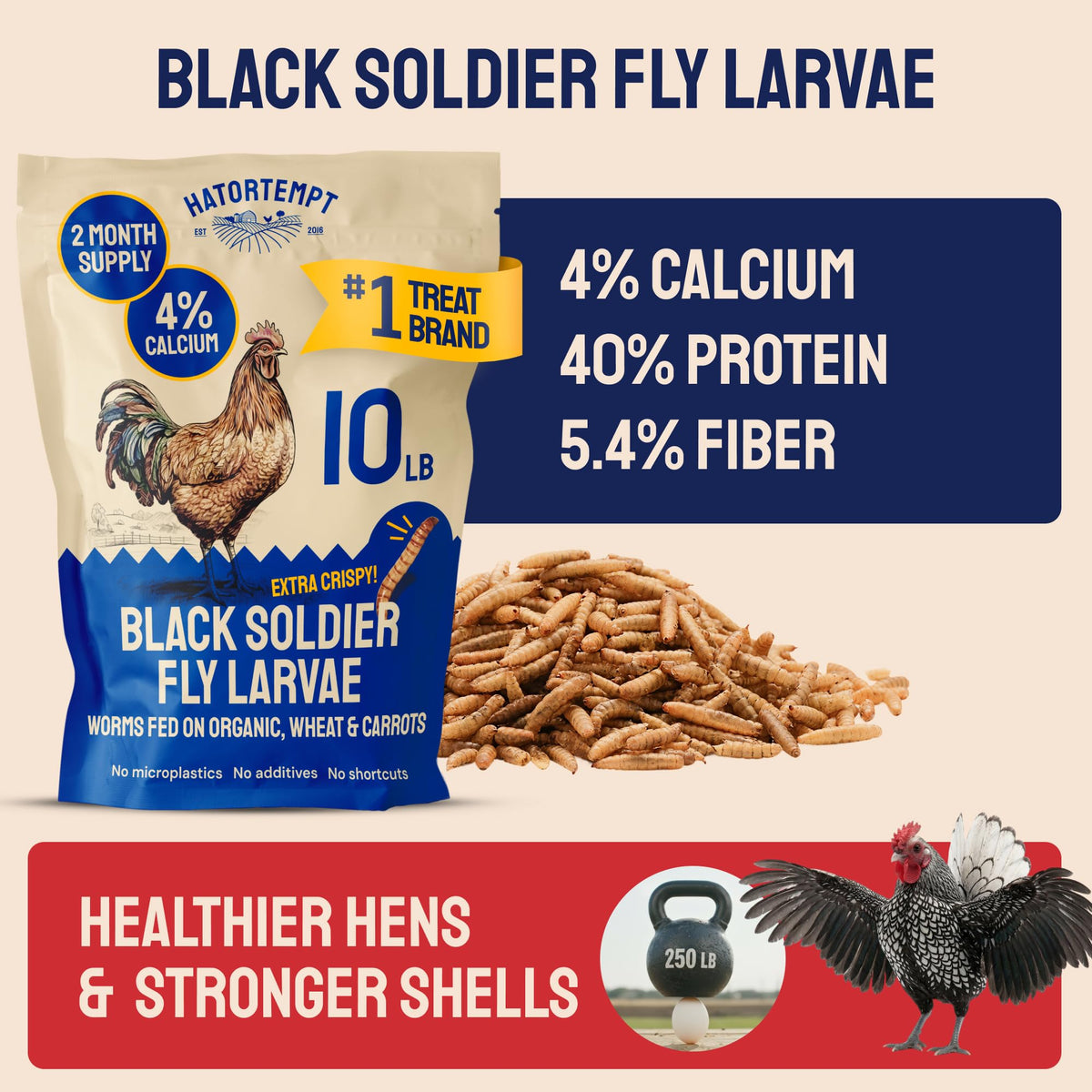Hatortempt 10lb Black Soldier Fly Larvae for Chickens, Calci Chicken Treats | 80x More Calcium Than Mealworms - Black Soldier Fly Larvae for Chickens - Non-GMO - Fed On An Organic Diet