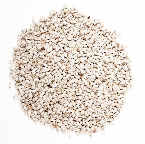 Wagner's 57075 Safflower Seed Wild Bird Food, 5 Pound (Pack of 1)