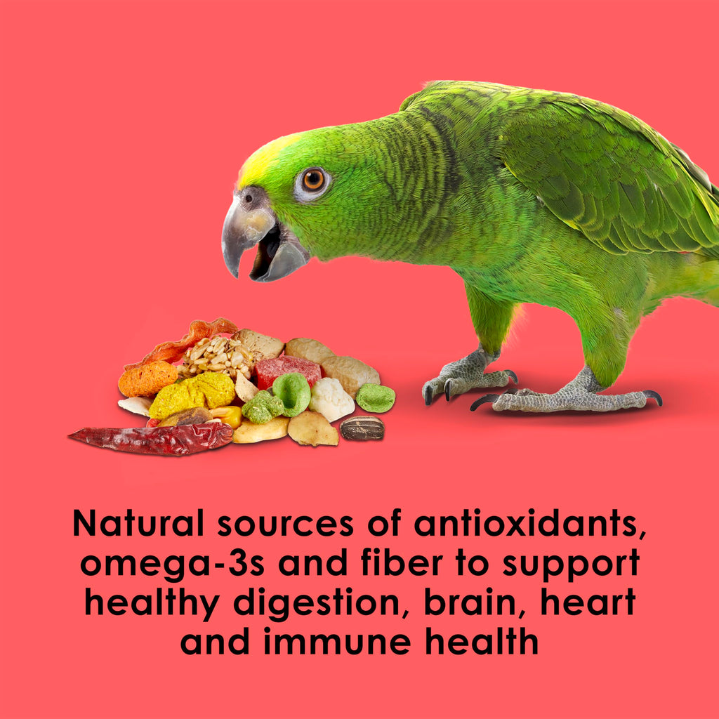 Kaytee Fiesta Parrot Food for Large Birds, 2.5 Pounds | Fun feeding. Bird food with fruits, veggies, grains. Bird seeds, shapes and textures for natural foraging