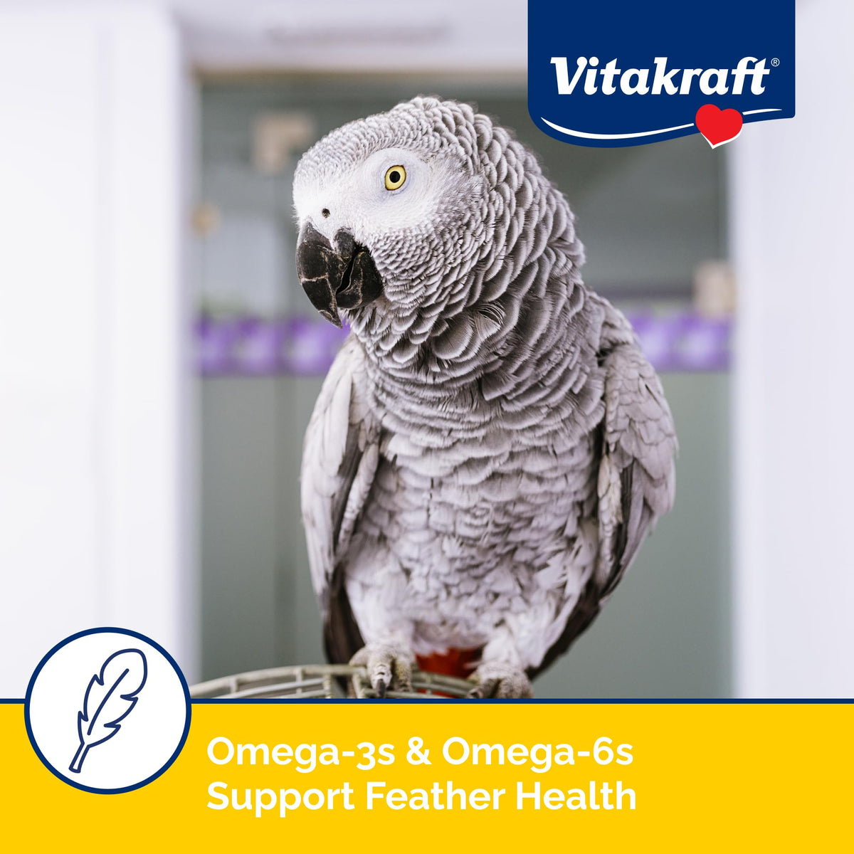 Vitakraft Menu Parrot Food 5 lb. | Nutrient-Rich Seed Blend, Natural Foraging Mix, Daily Diet Formula, Resealable Bag, 5 lb Pack