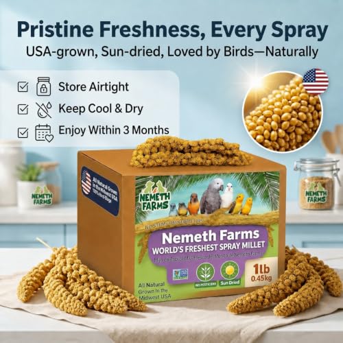 Nemeth Farms Spray Millet - Edible Tops Only, Non-GMO and Sun-Dried - 1 lb for Parakeets, Canaries and Finches
