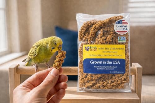 Birds LOVE® Millet Tips & Tails for Birds – Premium Spray Millet Treat, Non-GMO, USA Grown – Natural Bird Food for Parakeets, Cockatiels, Budgies, Lovebirds, Finches, Canaries & Parrots – 1 lb