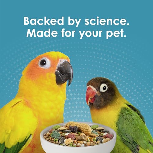 Kaytee Forti-Diet Pro Health Nourish+Protect Conure & Lovebird Food, 4 lb | Balanced digestion. Conure food with prebiotics and probiotics. Parrot food, antioxidants, omega-3s