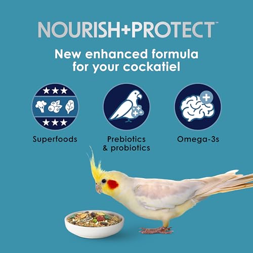 Kaytee Forti-Diet Pro Health Nourish+Protect Cockatiel Food, 5 lb | Digestive support daily. Parrot food for cockatiels. Prebiotics, probiotics, bird feed