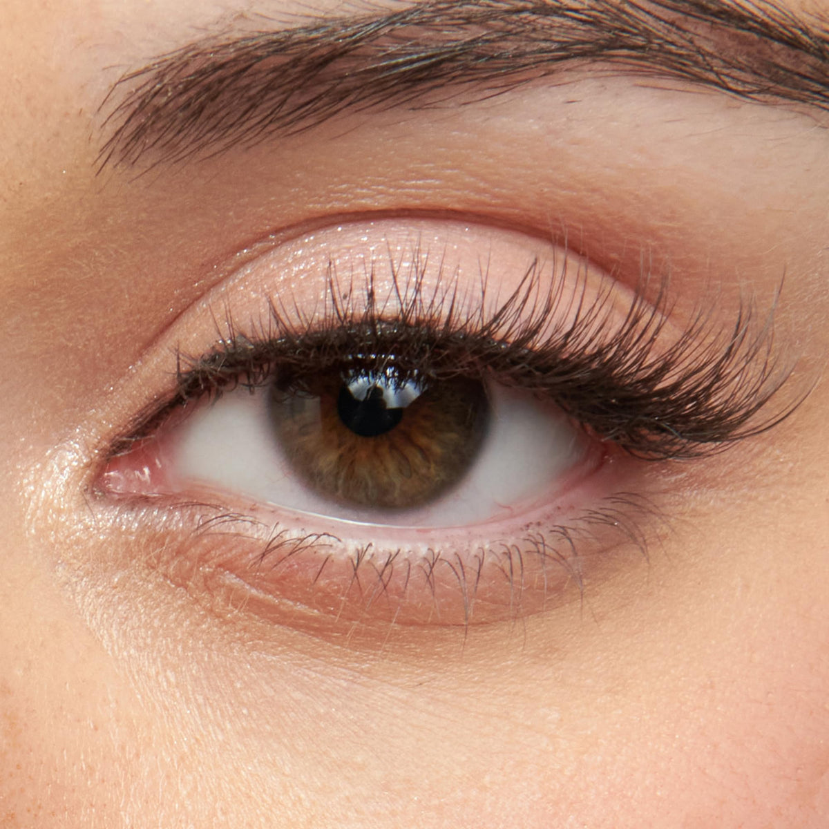 Kiss So Wispy, False Eyelashes, '', 12mm, Includes 5 Pairs Of Lashes, Easy to Apply, Reusable Lash Clusters
