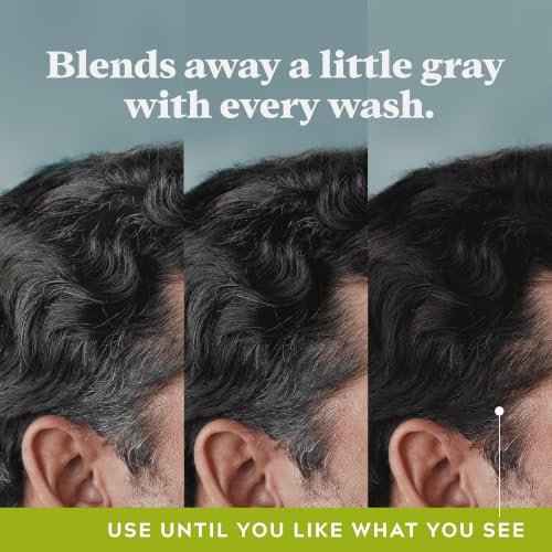 Just for Men Control GX Gray Reducing Shampoo, Keratin, 4 Fl Oz (1 Pack)