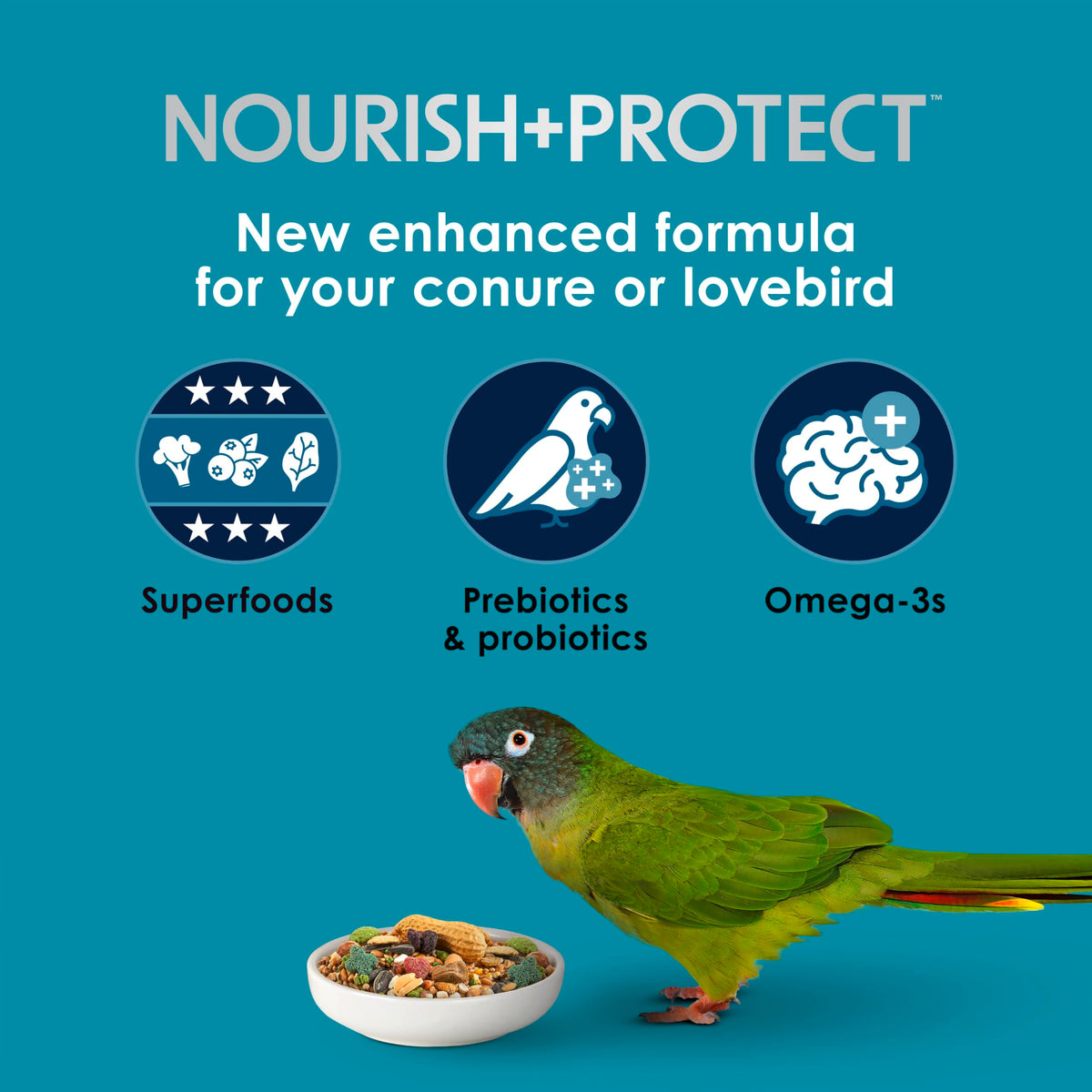 Kaytee Forti-Diet Pro Health Nourish+Protect Conure & Lovebird Food, 4 lb | Balanced digestion. Conure food with prebiotics and probiotics. Parrot food, antioxidants, omega-3s