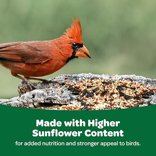 Kaytee Wild Bird Food Basic Seed Blend, 5 lb | Attract backyard birds. Wild bird seed mix with sunflower. Fortified, birdseed, year-round