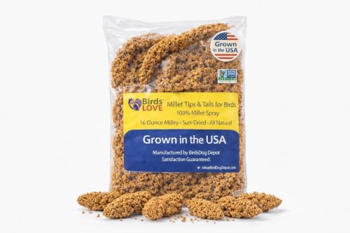 Birds LOVE® Millet Tips & Tails for Birds – Premium Spray Millet Treat, Non-GMO, USA Grown – Natural Bird Food for Parakeets, Cockatiels, Budgies, Lovebirds, Finches, Canaries & Parrots – 1 lb