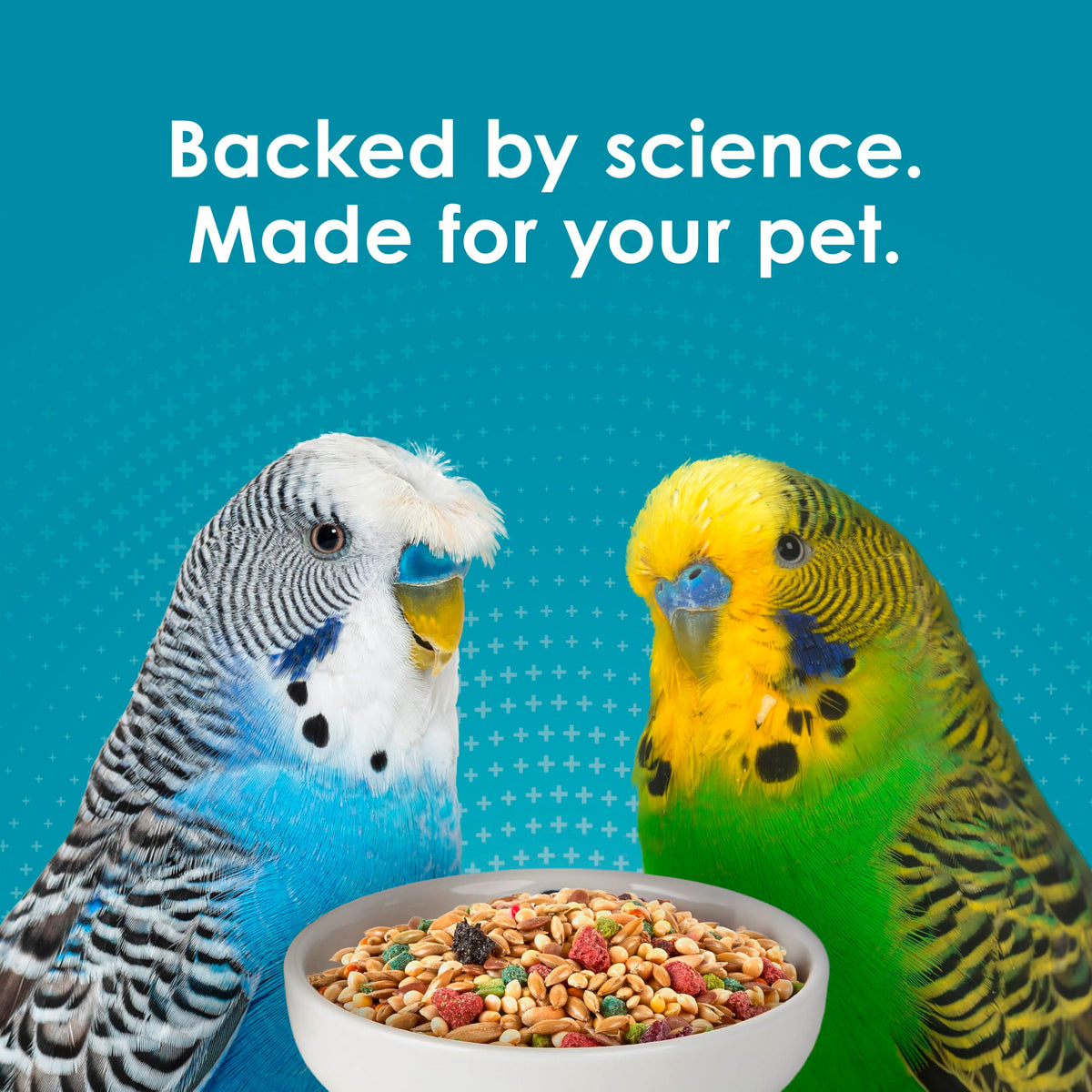 Kaytee Forti-Diet Pro Health Nourish+Protect Parakeet Food, 2 Pounds | Balanced digestion daily. Parakeet seed with superfoods. Prebiotics, probiotics, small bird food