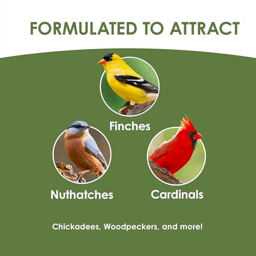 Kaytee Ultimate No Mess Wild Bird Seed, 9.75 Pounds | No Hulls, Less Mess Bird Seed Blend, 100% Edible Bird Seed Blend, Less Waste Around Feeders, Cleaner Backyard Feeding