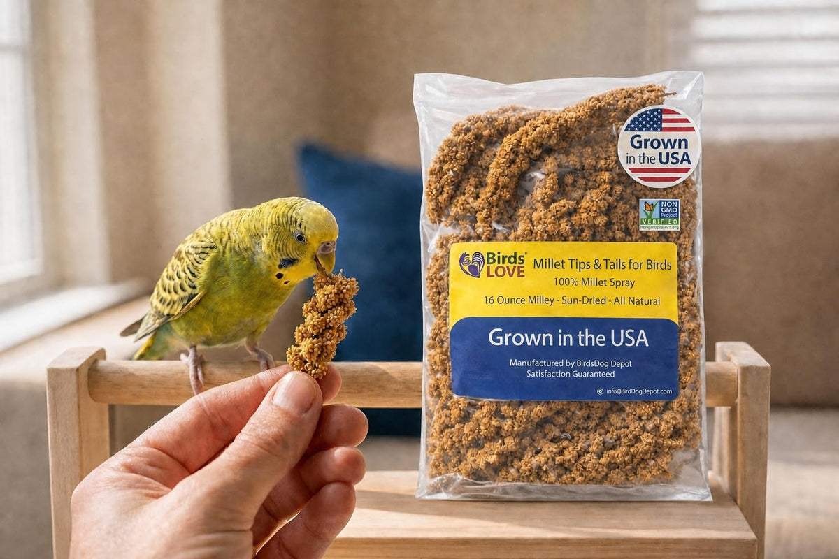 Birds LOVE® Millet Tips & Tails for Birds – Premium Spray Millet Treat, Non-GMO, USA Grown – Natural Bird Food for Parakeets, Cockatiels, Budgies, Lovebirds, Finches, Canaries & Parrots – 1 lb