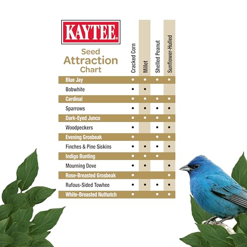 Kaytee Wild Bird No Mess Food Seed Blend for Cardinals, 10 Pound | Cleaner feeding. No mess bird seed. Shell-free, 100% edible, no grow bird seed