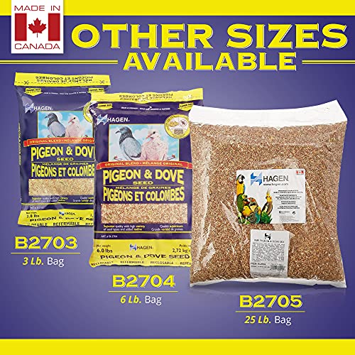 Hagen Pigeon & Dove Seed, Original Formula Bird Food, 6 lb Bag | Nutritionally Complete Seed Mix with Vitamins & Minerals, Wild & Captive Bird Diet, Insect-Resistant Air-Tight Packaging