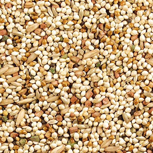 Wild Harvest Daily Blend Bird Food For Parakeet, Canary & Finch,10 lbs | Quality Seed Blend For Small Birds, With Orange Essence For Extra Flavor, Re-Sealable Bag For Freshness