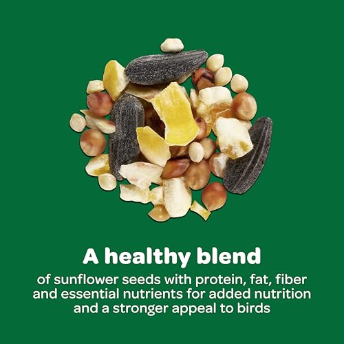 Kaytee Wild Bird Food Basic Seed Blend, 5 lb | Attract backyard birds. Wild bird seed mix with sunflower. Fortified, birdseed, year-round