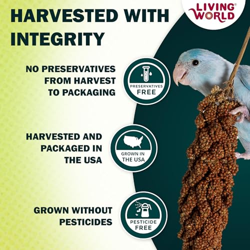 Living World Millet Spray for Birds - 3.5 oz Bag | 100% Natural, Wild-Harvested, Premium Treat - Spray Millet for Budgies, Canaries, Finches, Cockatiels & Other Pet Birds