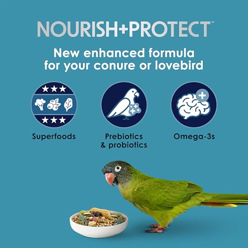 Kaytee Forti-Diet Pro Health Nourish+Protect Conure & Lovebird Food, 4 lb | Balanced digestion. Conure food with prebiotics and probiotics. Parrot food, antioxidants, omega-3s