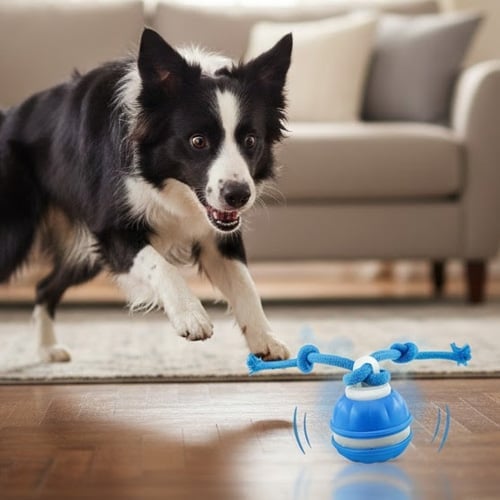 Interactive Smart Rolling Pet Ball