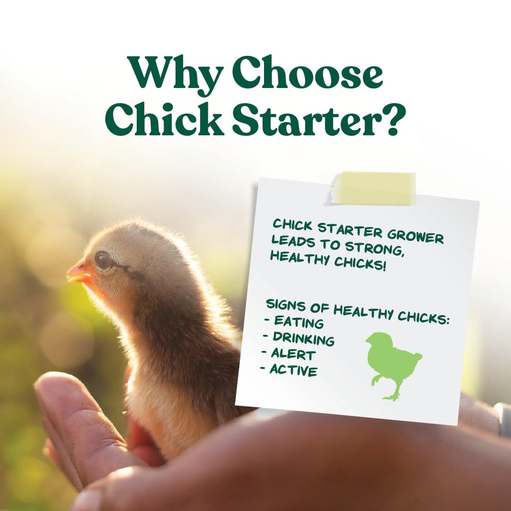 Manna Pro Medicated Chick Starter Grower Feed, Amprolium & Protein, 5 lb | Complete Chick Feed Crumbles, Amprolium for Coccidiosis Prevention, High Protein Nutrition for Growing Chicks, Made in USA