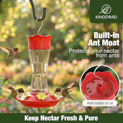Kingsyard 2-Pack Glass Hummingbird Feeder for Outdoors Hanging, 10 oz Leak-Proof Humming Bird Feeders with Ant Moat & Bee Proof Feeding Ports, Hummingbird Gift for Bird Lovers (Clear)