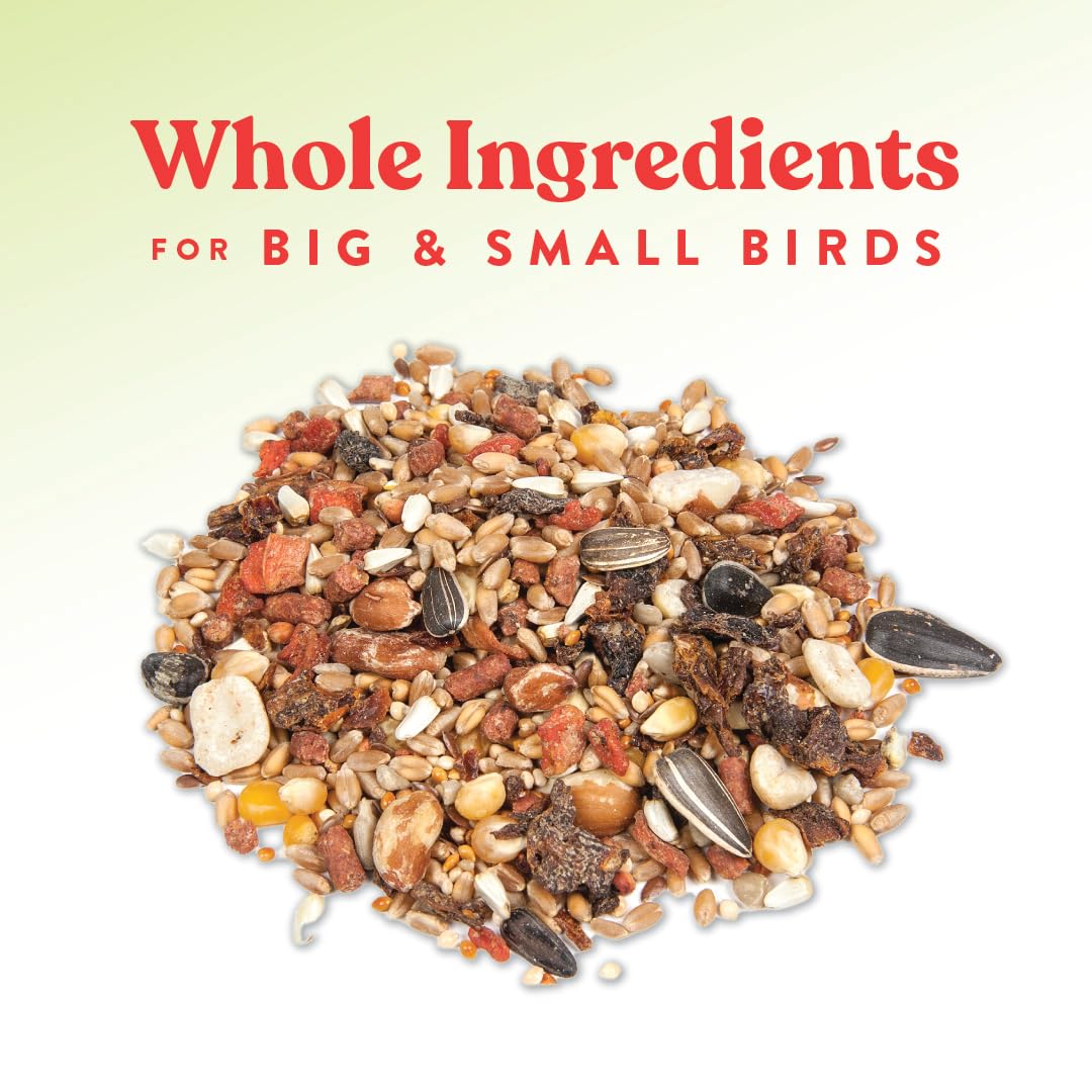 Manna Pro Harvest Delight Poultry Treat, Whole Grain & Seed Mix with Fruits & Vegetables, 14% Protein Snack for Chickens, Ducks & Mixed Flocks, 2.25 lb