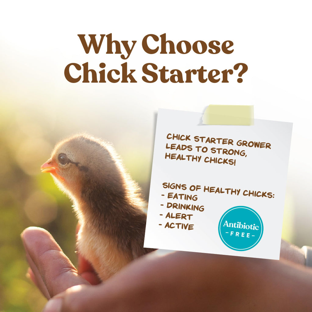 Manna Pro Chick Starter Feed, Non-Medicated Chicken Feed with Vitamins & Minerals, Complete Nutrition for Baby Chicks, 5 lb Bag