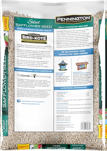 Pennington Select Safflower Seed 15 lb Bag | Bird Seeds for Outside Wild Birds, Enriched with Vitamins and Nutrients, Works in Hopper, Gazebo and Tube Feeders