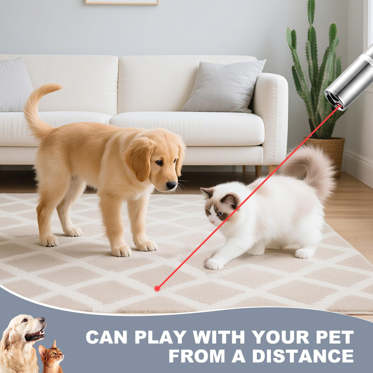 JANHER Cat Laser Pointer Toy, 3 Light Modes, 5 Fun Patterns, Interactive | Interactive pet toy for cats, dogs and birds, encouraging chase play, exercise and indoor fun with engaging light effects