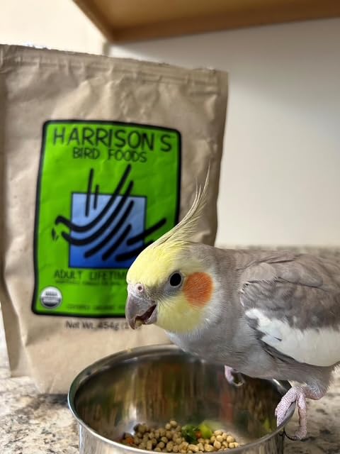 Harrison's Bird Foods Bird Food Adult Lifetime Fine Certified Organic Non-GMO Formula Bird Food 1lb
