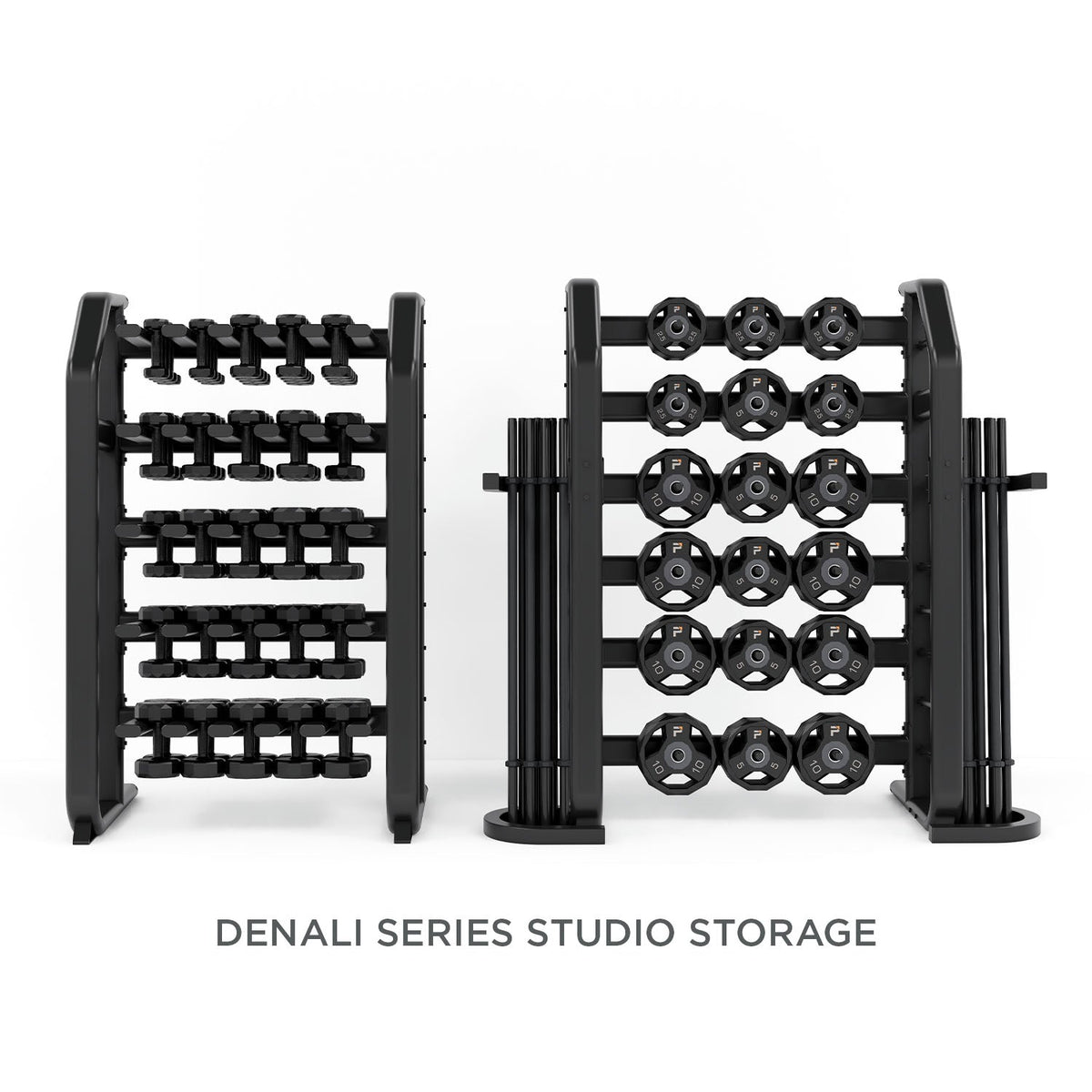 Denali Series Studio Vertical Dumbbell Rack